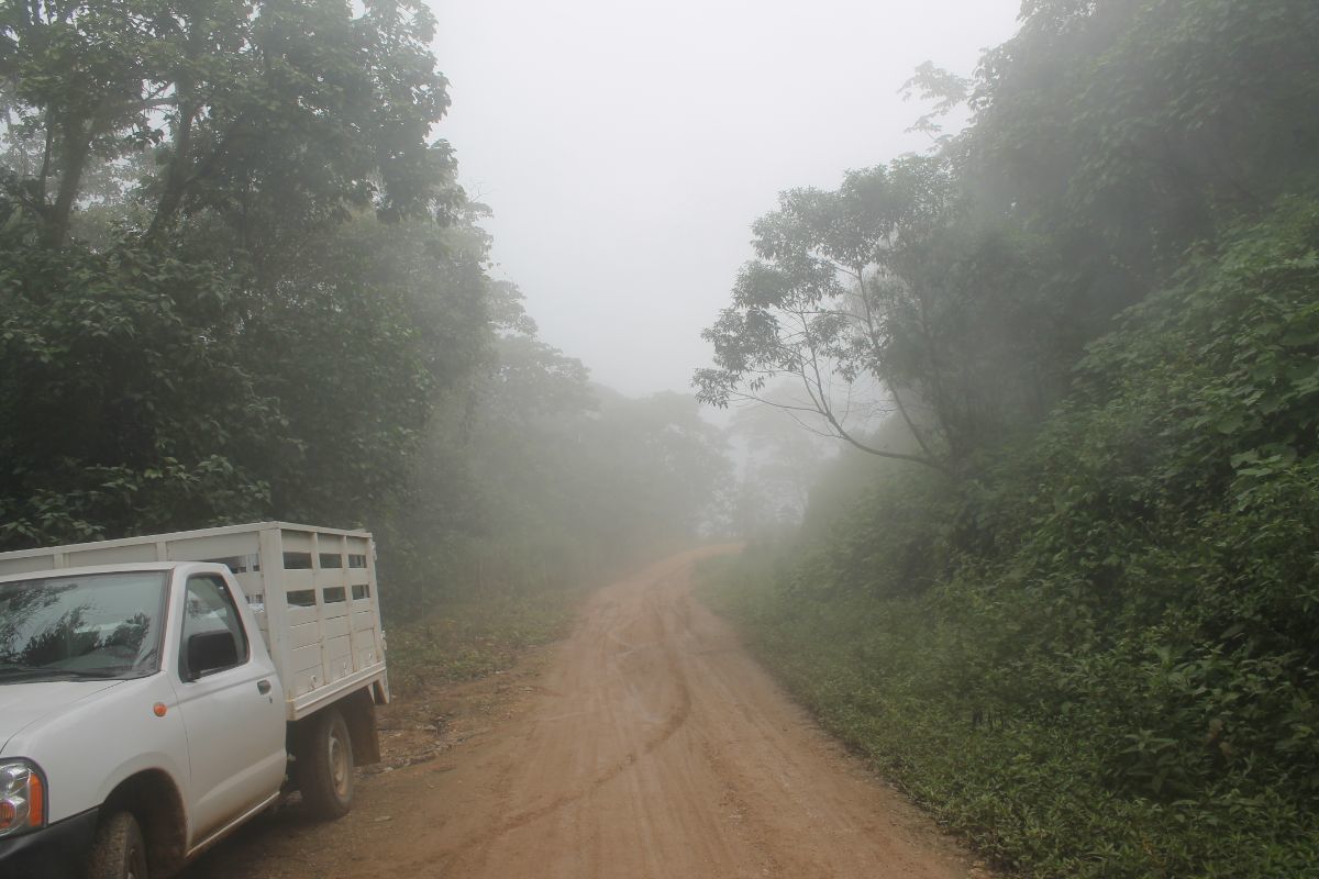 1415-has-en-venta-rancho-en-san-fernndo-chiapas10-34504