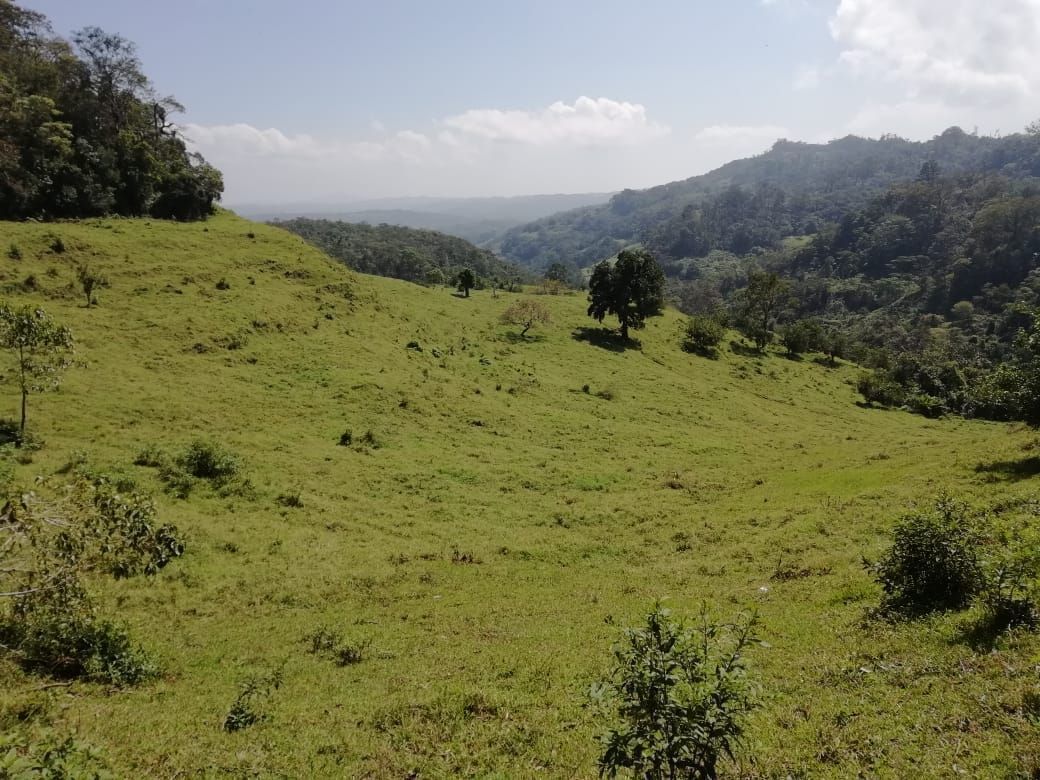 1415-has-en-venta-rancho-en-san-fernndo-chiapas4-34504