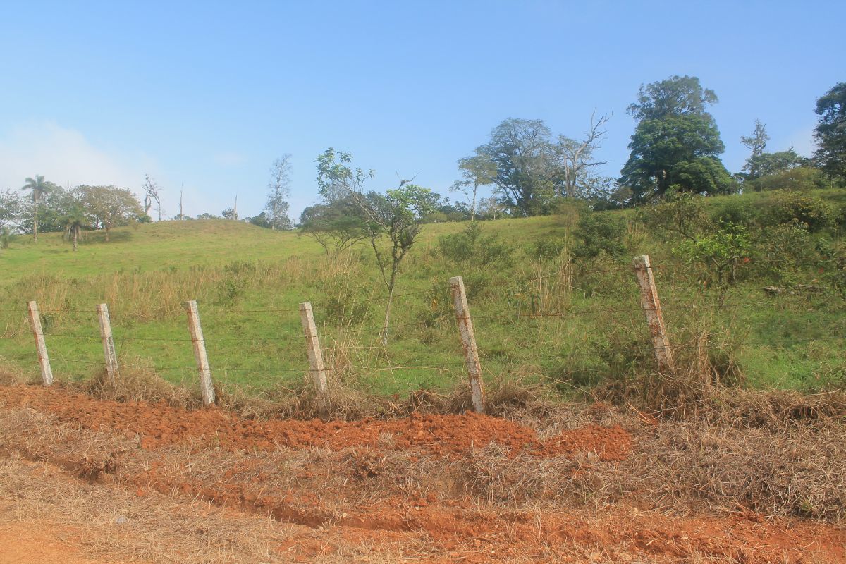 1415-has-en-venta-rancho-en-san-fernndo-chiapas6-34504
