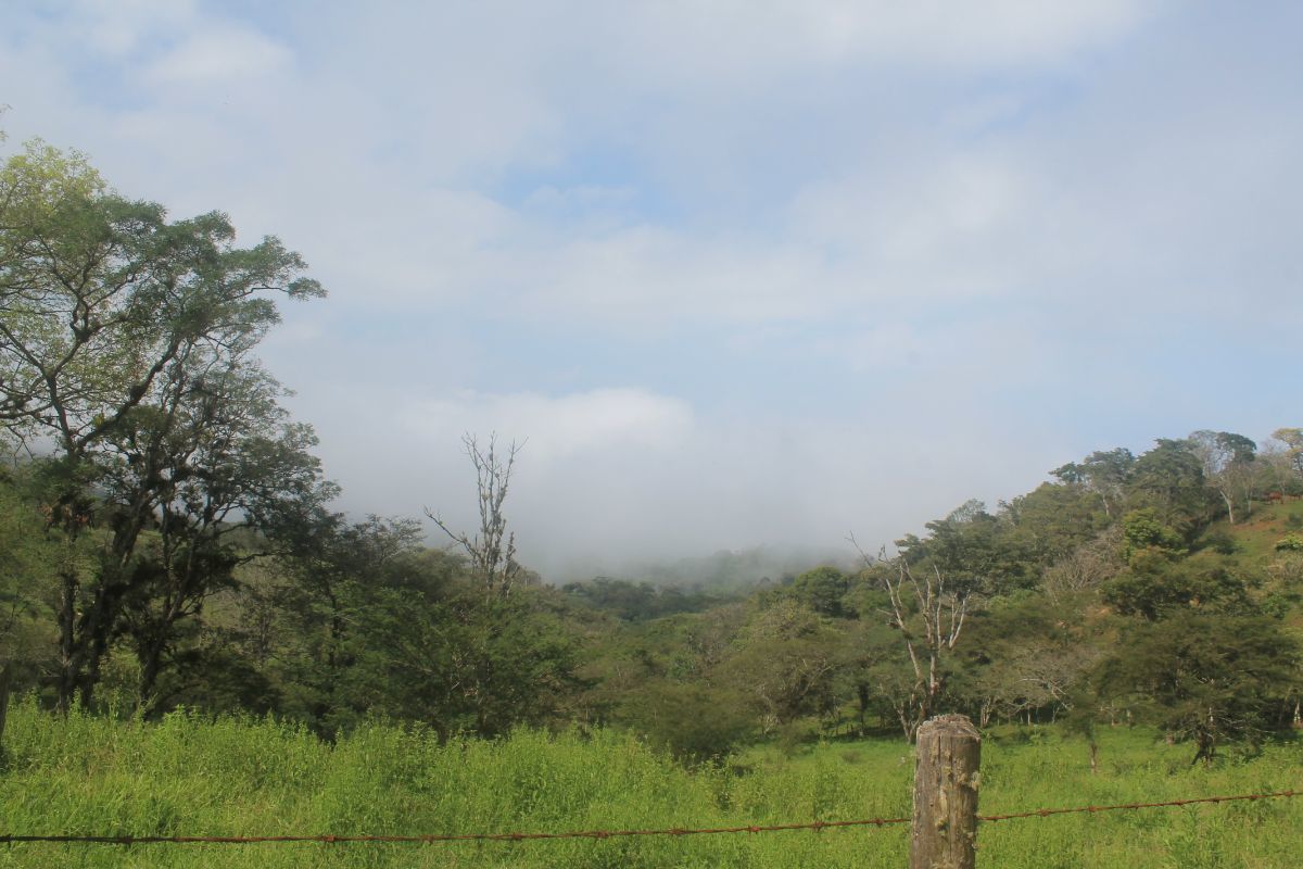 1415-has-en-venta-rancho-en-san-fernndo-chiapas7-34504
