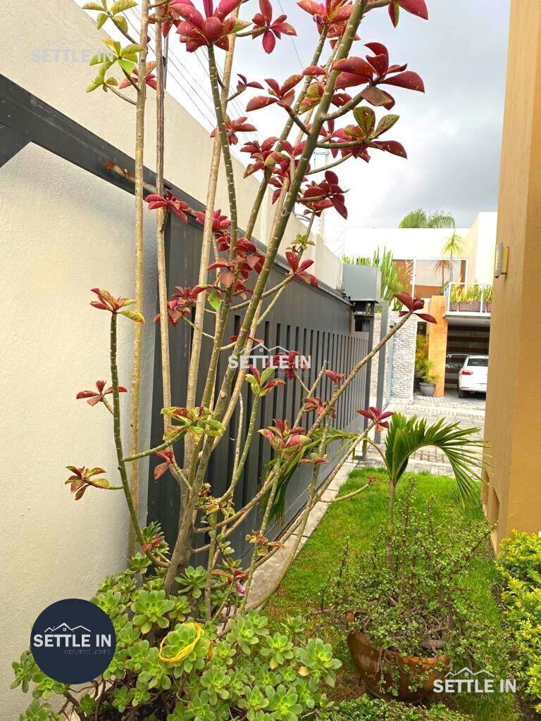 a06-residencia-en-renta-venta-fraccionamiento--cipreses-de-zavaleta-puebla36-32757