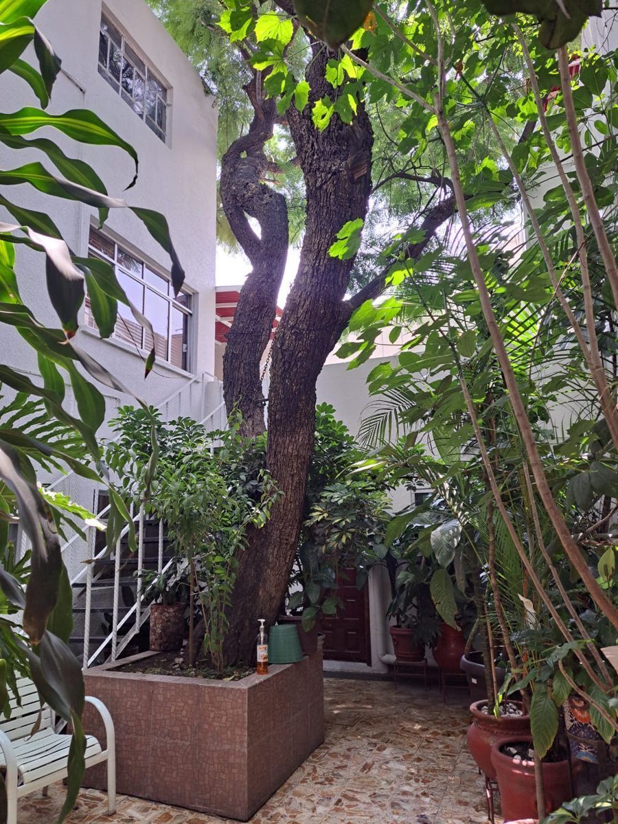 amplia-casa-en-nte-42-siete-de-noviembre15-32575