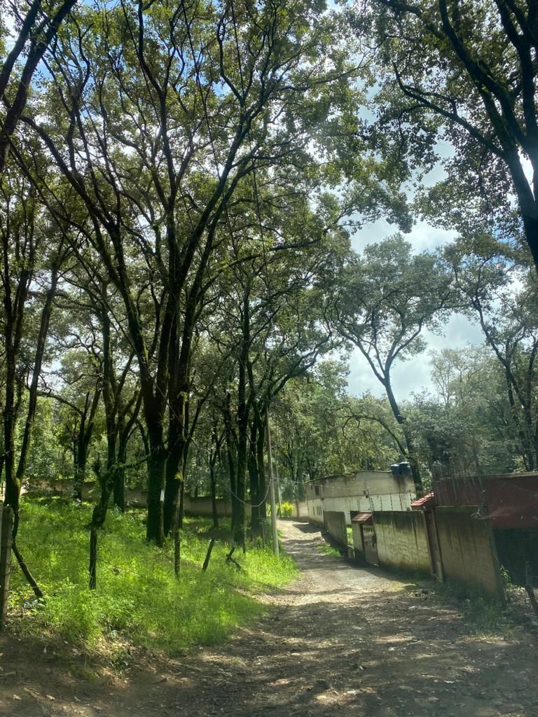 aproveche-amplio-terreno-para-cabaa-casa-de-campo9-34723