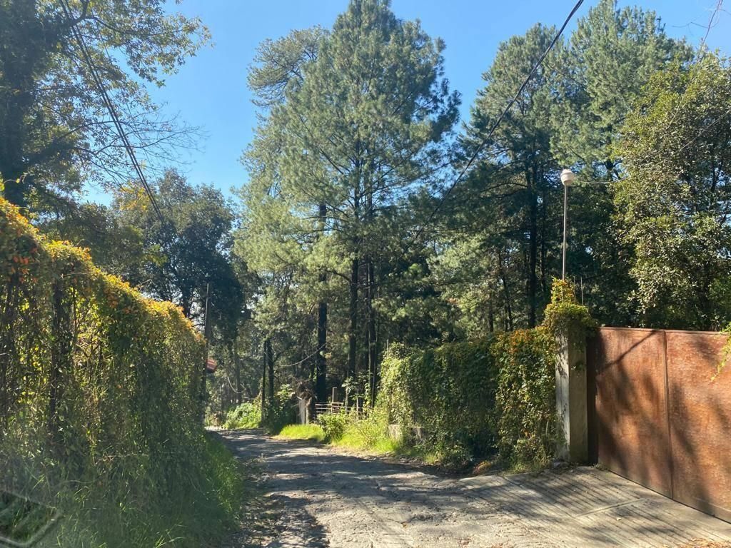 APROVECHE AMPLIO TERRENO