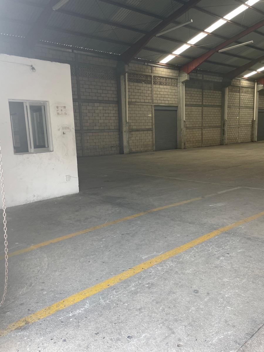 bodega-de-1000-metros8-26312