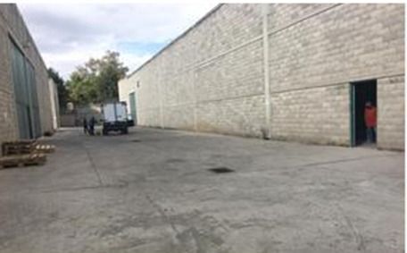 bodega-en-renta-el-trebol5-27865