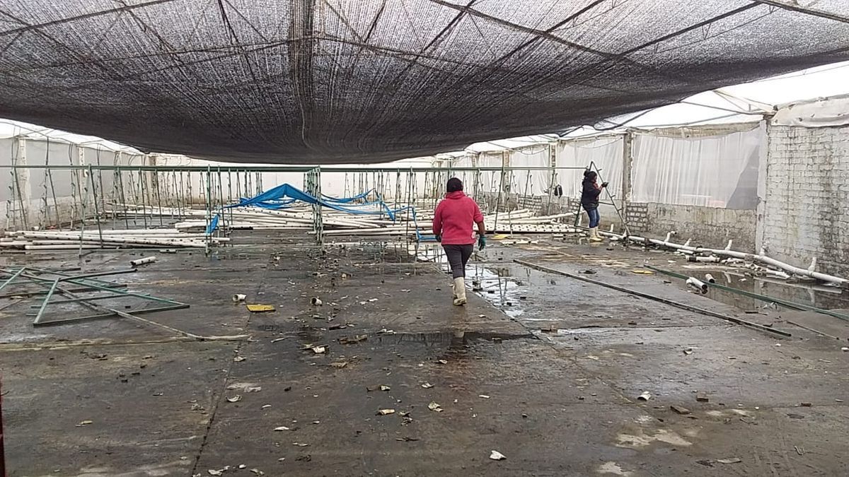bodega-en-renta-texcoco10-21522