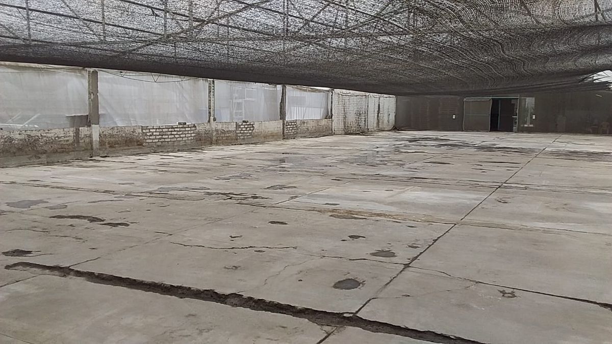 bodega-en-renta-texcoco6-21522