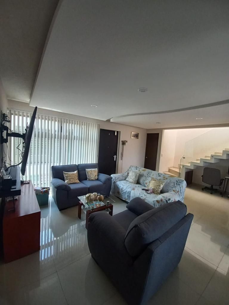 bonito-departamento-con-roof-garden-ubicado-en-la-col-federal5-33014