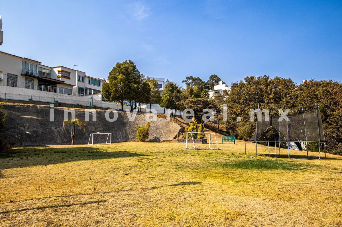 bosque-de-tzalam25-28711