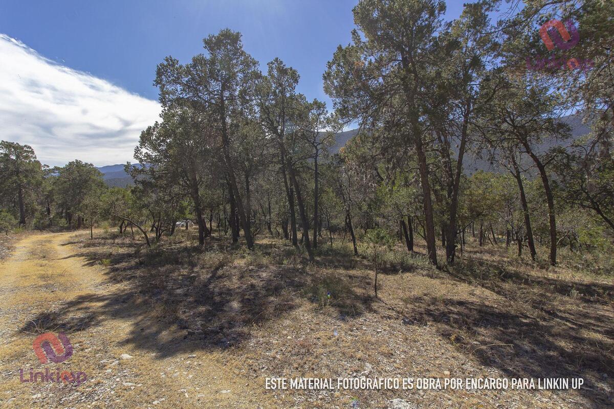 cabaa-en-venta-con-casa-en-bosques-de-huachichil-en-arteaga-coahuila26-13834