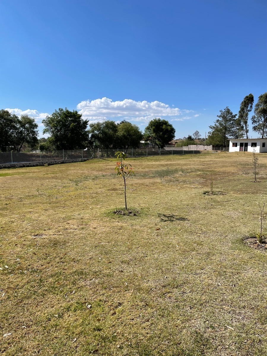 cabaa-en-venta-con-chimenea-en-aculco-estado-de-mxico-a-90min-de-la-cdmx22-26217