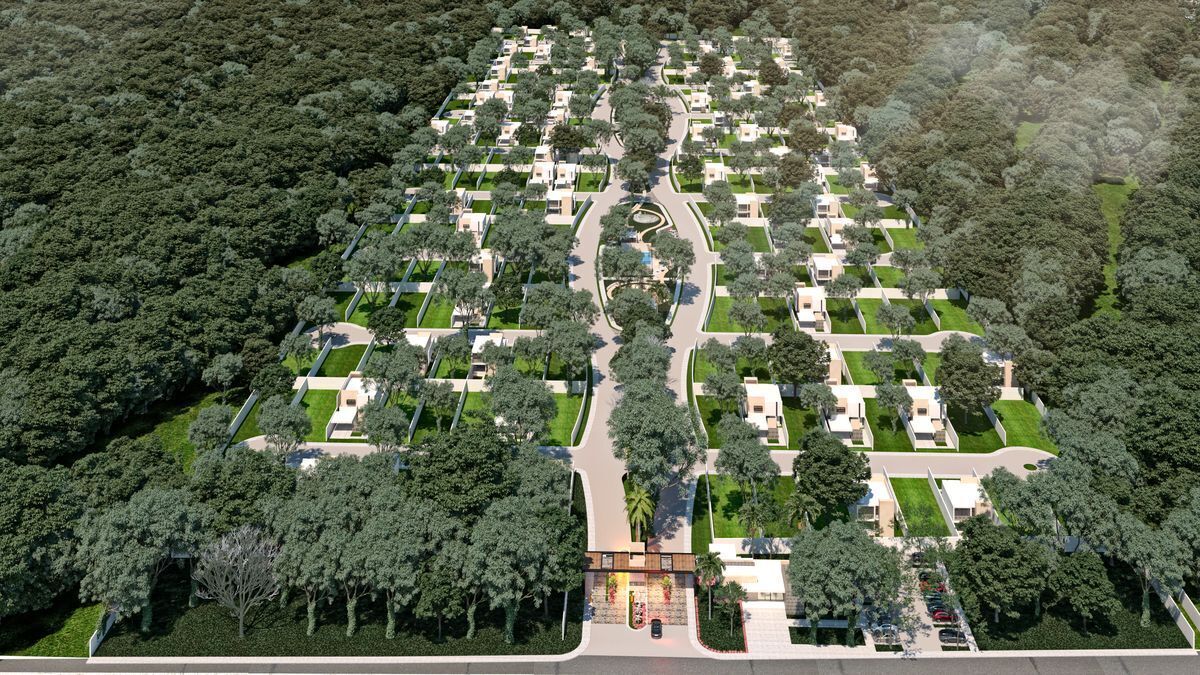 camelia-residencial-lotes-residenciales--merida-norte15-20955