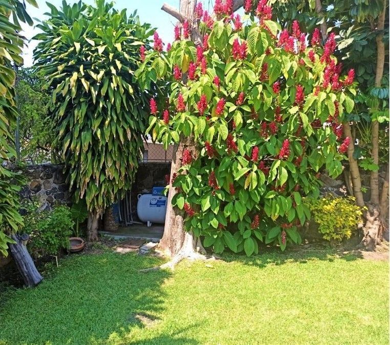 casa-con-alberca-al-sur-de-cuernavaca4-22891