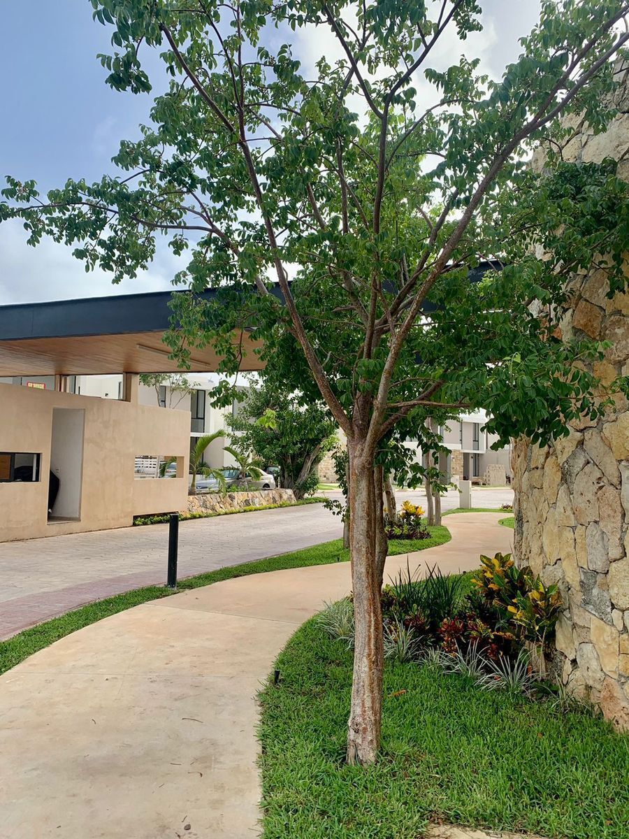 casa-con-alberca-en-venta-dentro-privada-bellavista-dzity33-31765