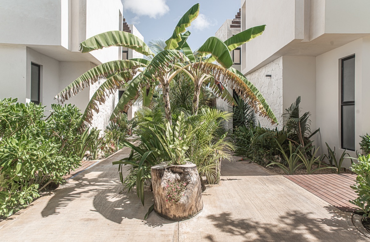 casa-de-3-recmaras-en-venta-en-tulum-regin-526-33635