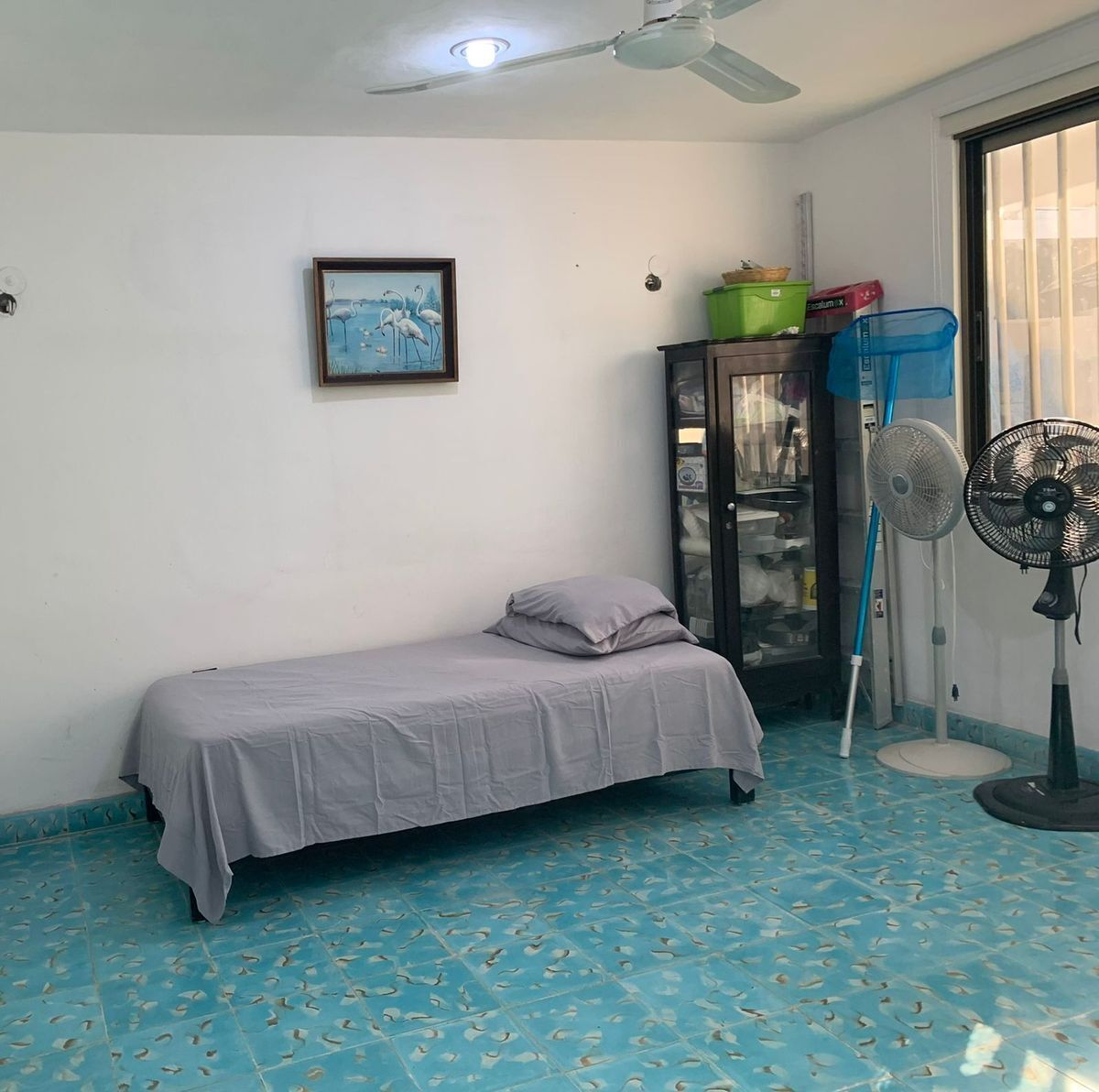 casa-en-renta-a-orilla-de-playa-en-progreso-yucatn-con-piscina-y-bar15-36322