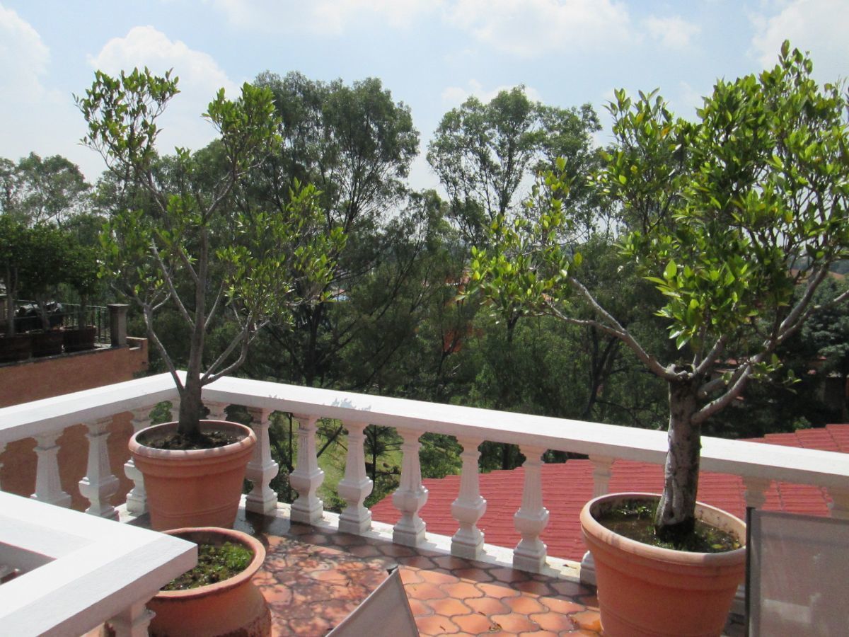 casa-en-renta-en-av-bosques-de-reforma10-35124