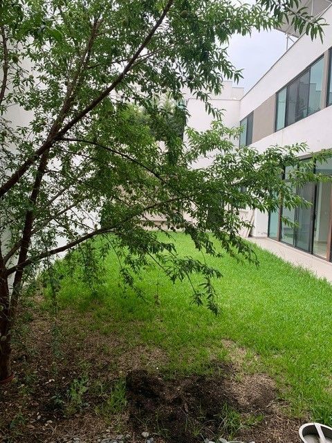 casa-en-renta-en-encinos-del-vergel-monterrey-nuevo-len18-36876