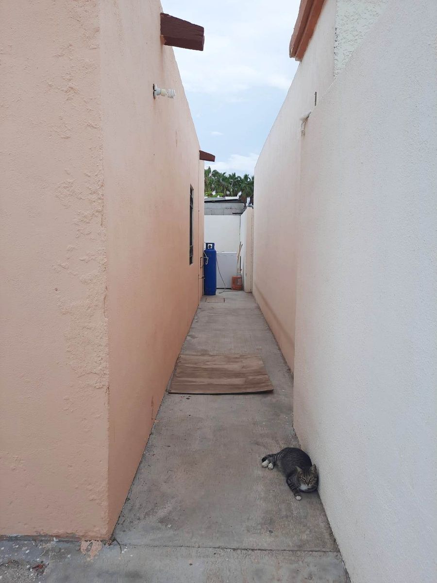 casa-en-renta-zona-paraso-del-sol16-38445