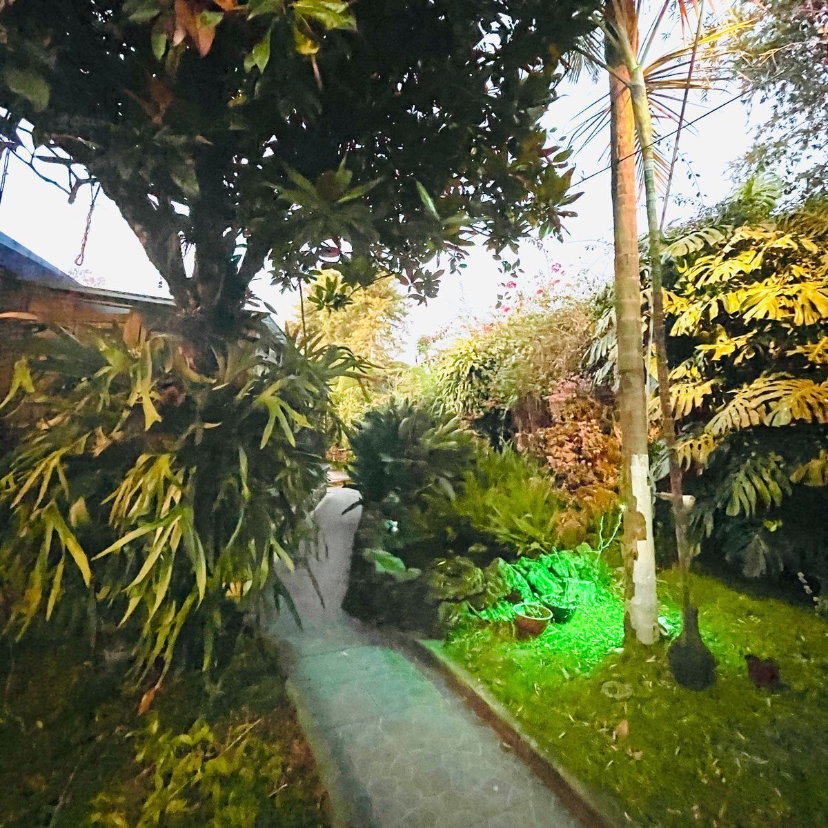 casa-en-venta--de-una-sola-planta-dentro-de-fraccionamiento-insurgentes33-36698