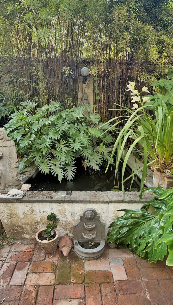 casa-en-venta-con-jardin-en-la-anzures17-15036