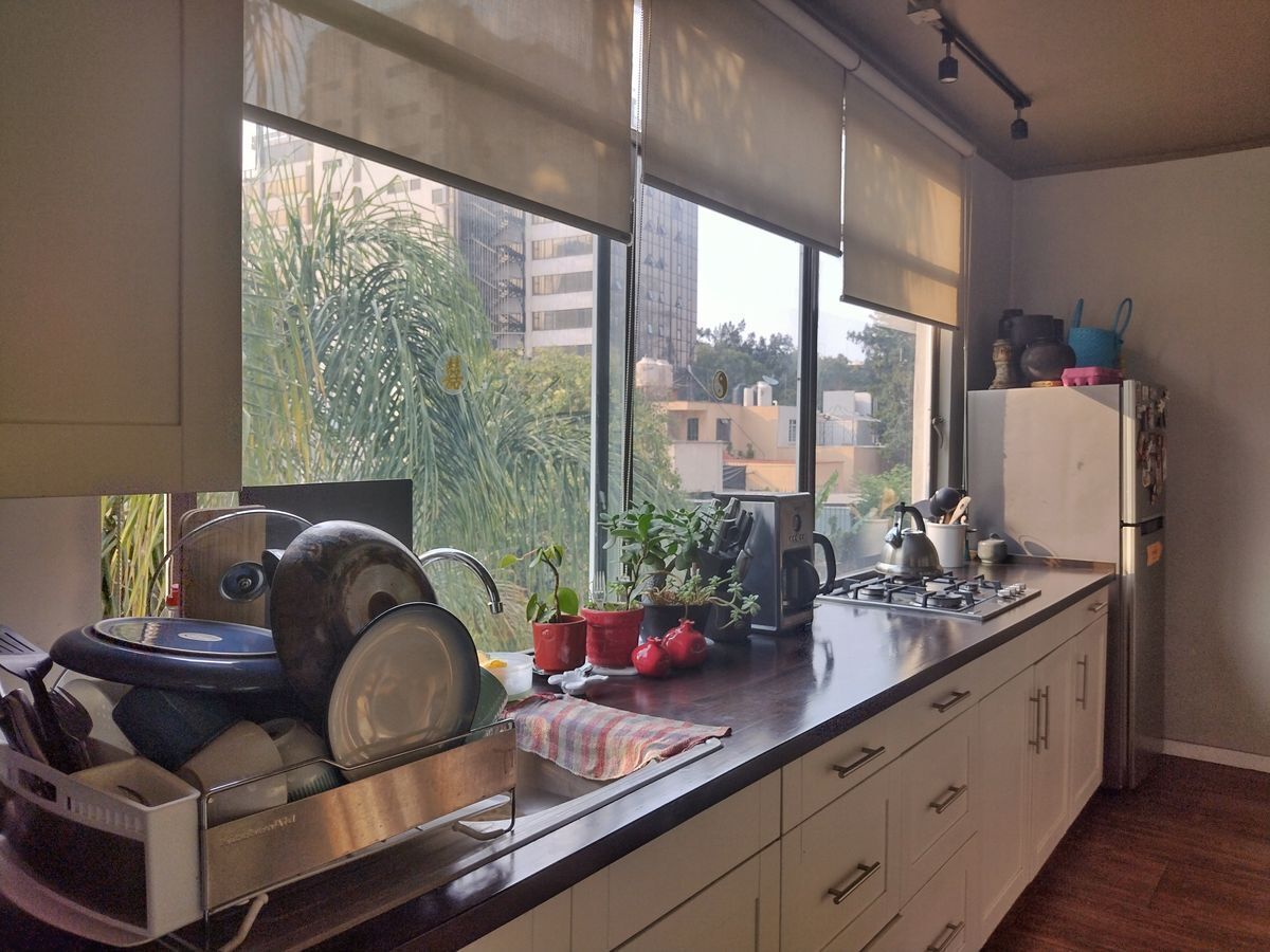 casa-en-venta-con-jardin-en-la-anzures39-15036