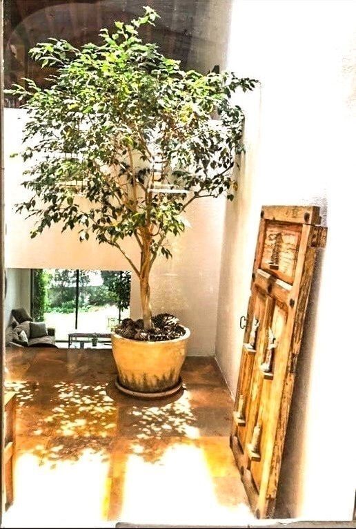 casa-en-venta-en-hacienda-de-las-palmas12-34204