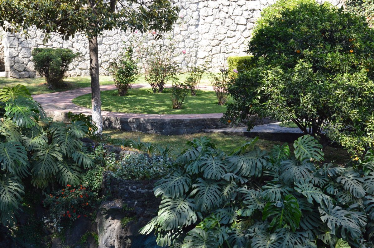 casa-en-venta-en-jardines-del-pedregal29-22327