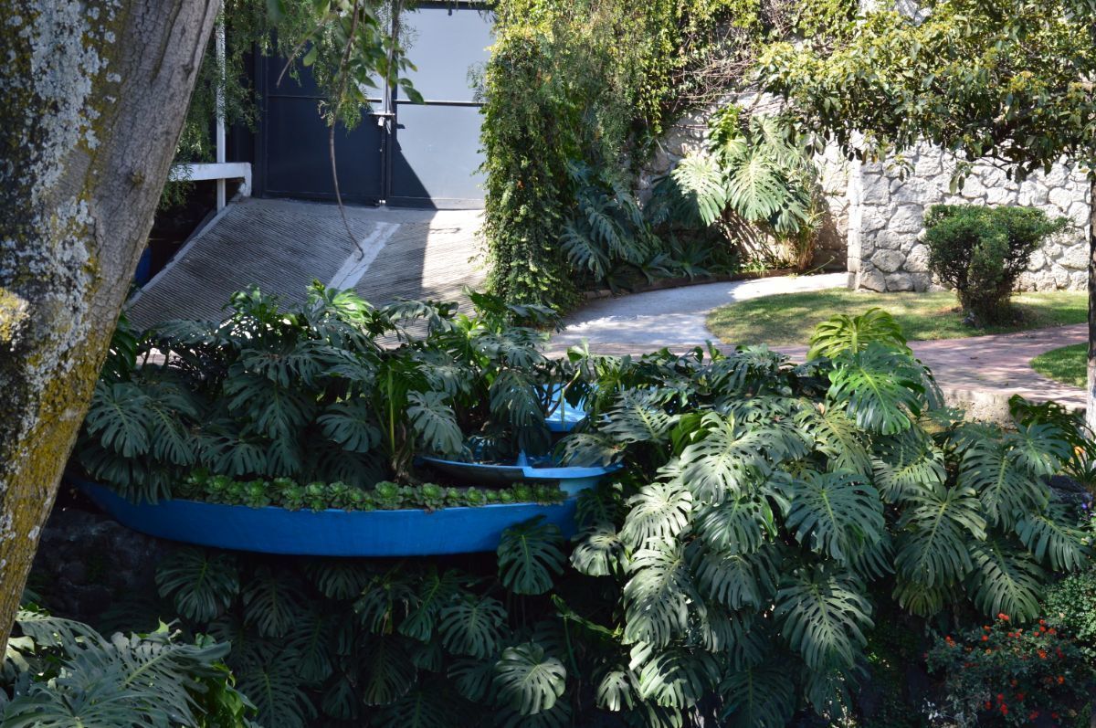 casa-en-venta-en-jardines-del-pedregal31-22327