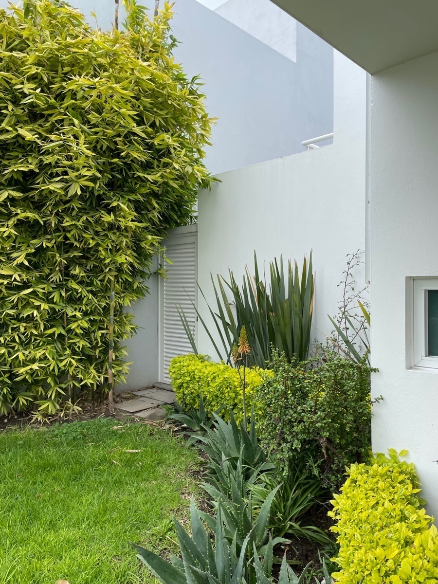 casa-en-venta-en-juriquilla-con-alberca-propia2-11633