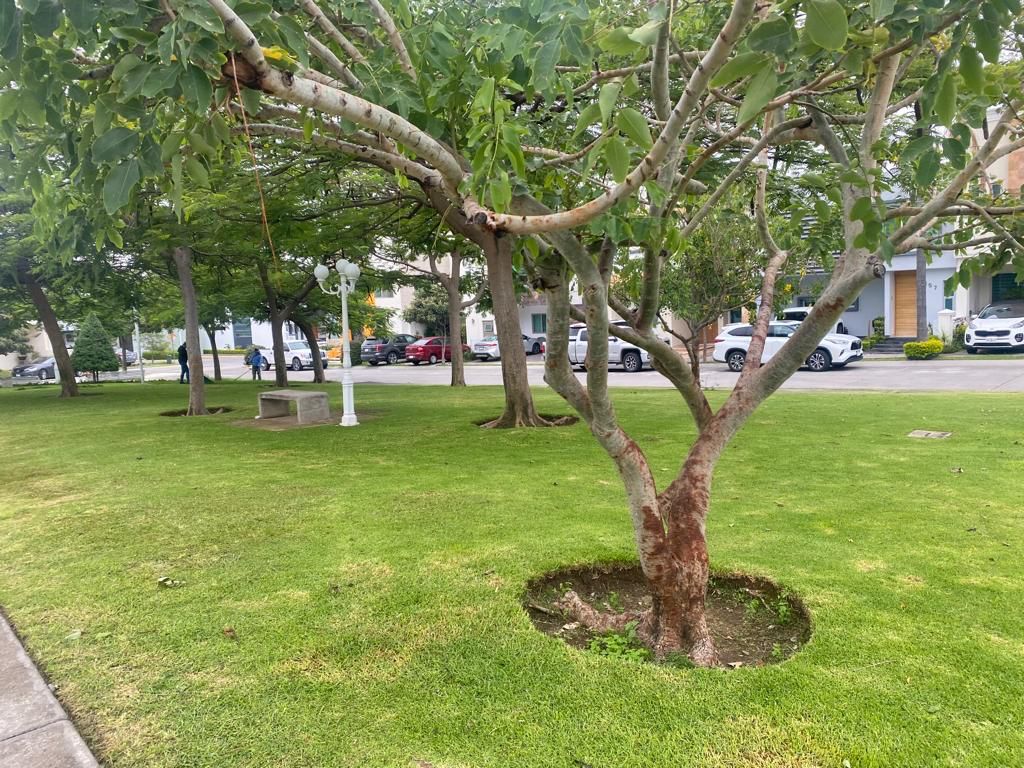 casa-en-venta-en-la-cima-coto-i13-10709