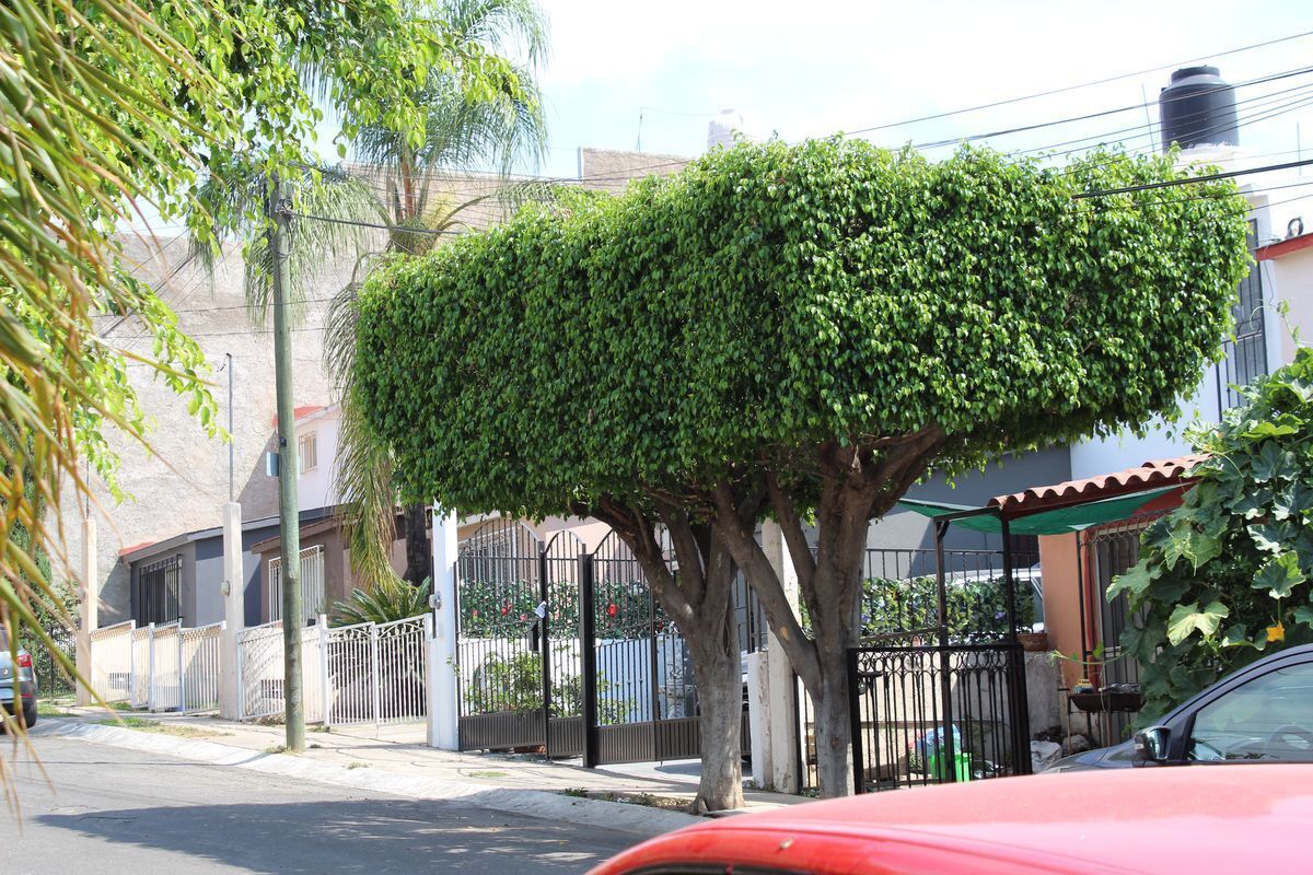 casa-en-venta-en-la-providencia-tonal-jalisco4-23000