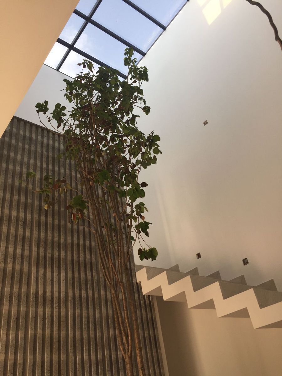 casa-en-venta-en-quertaro-zen-life5-27978