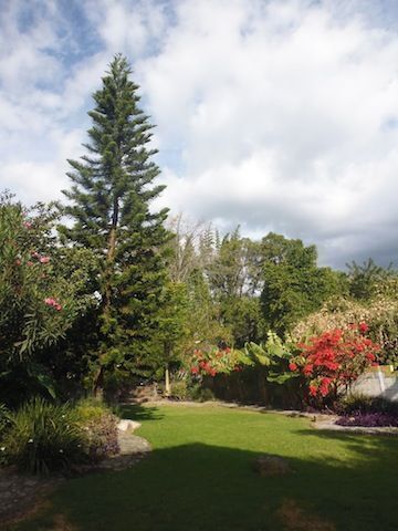 casa-en-venta-en-tepoztlan12-36842