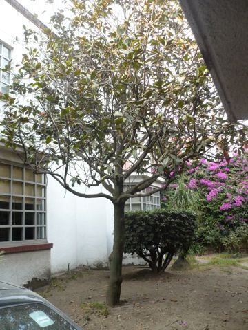 casa-en-venta-guadalupe-inn7-36848