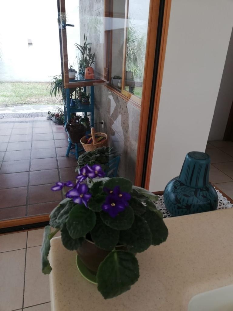 casa-en-venta-jardines-universidad34-22576