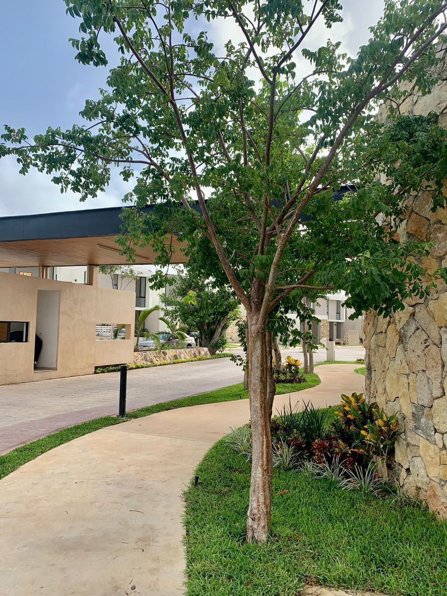 casa-tipo-townhouse-con-alberca-en-venta-dentro-privada-bellavista-dzyta12-32200