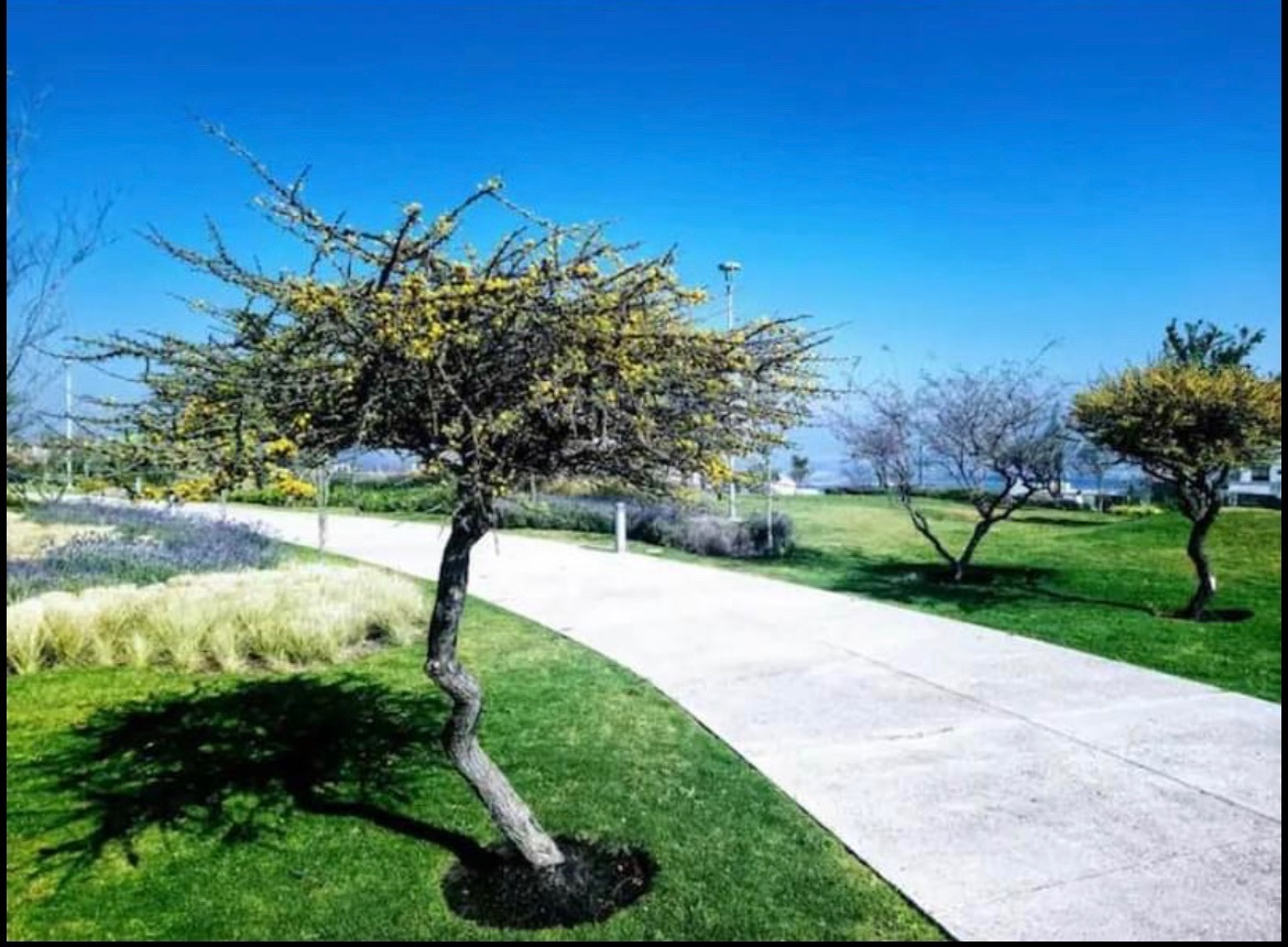 casas-en-queretaro-zibat-con-recmara-en-planta-baja20-37510