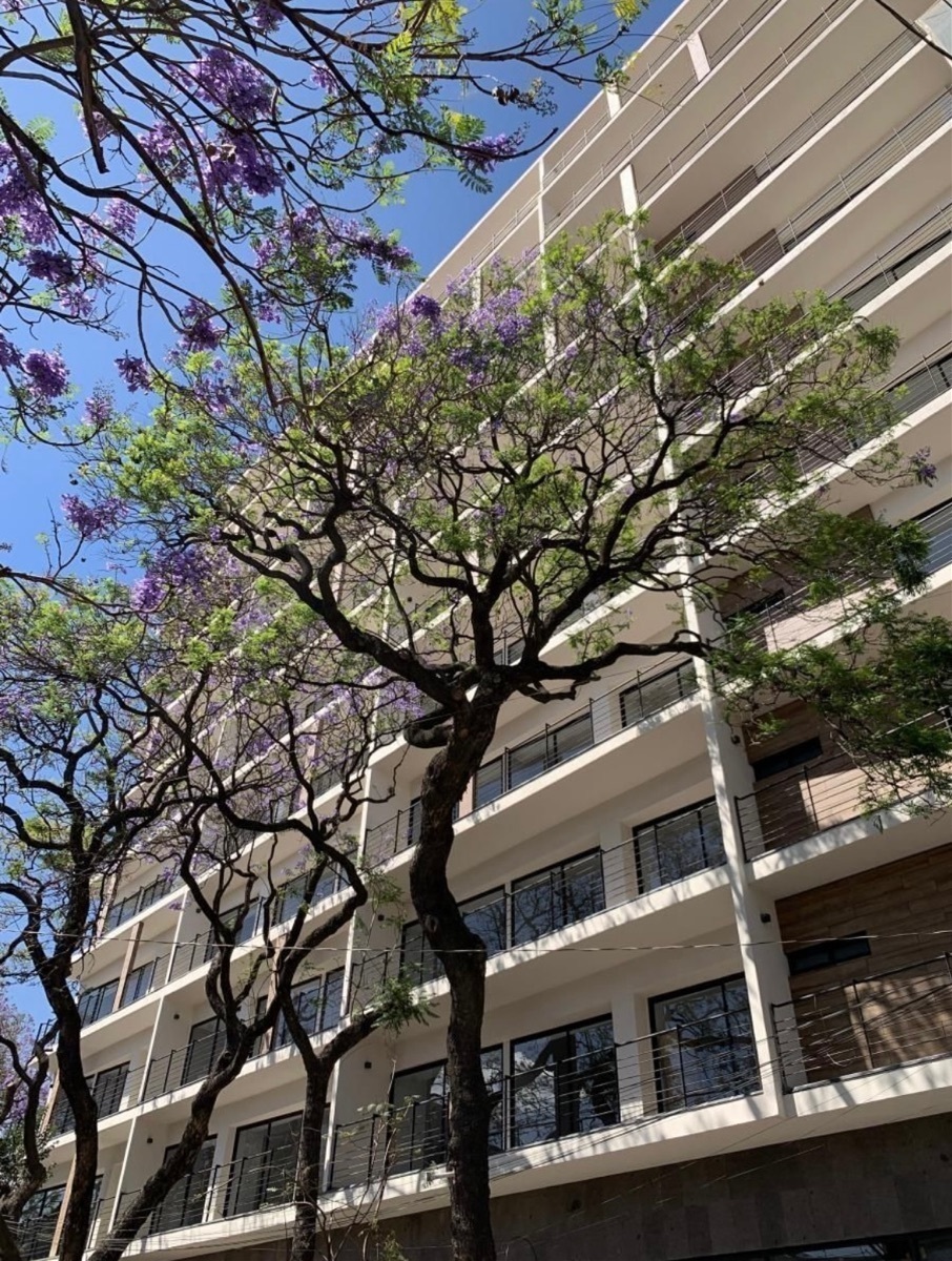 departamento-en-renta-narvarte-benito-jurez14-12601