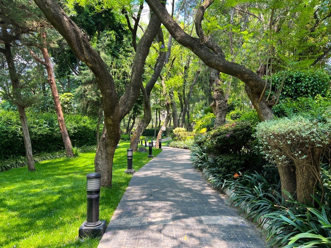 departamento-en-renta-palmas-corinto-lomas-de-chapultepec-paseo-de-las-palmas13-35122