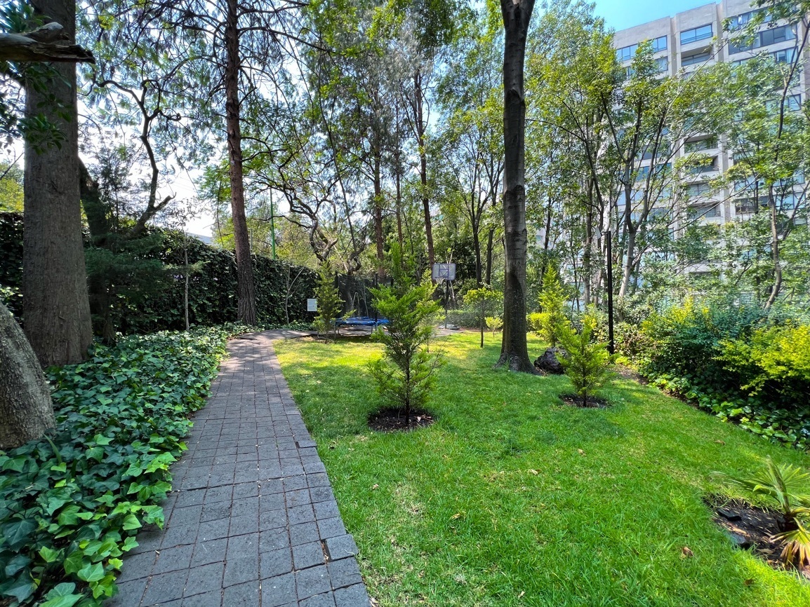 departamento-en-renta-palmas-corinto-lomas-de-chapultepec-paseo-de-las-palmas20-35122
