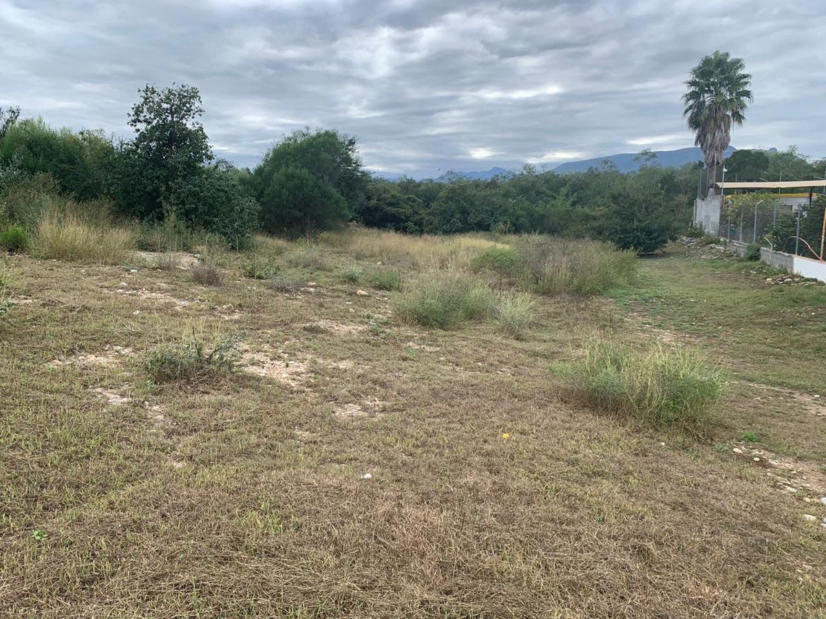 entre-allende-y-cadereyta8-27348