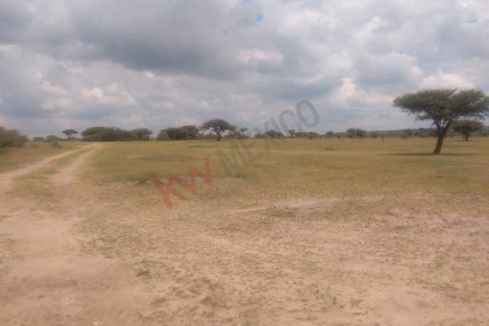 espectacular-terreno-campestre-en-venta-banda-de-oaxaca-en-san-miguel-de-allend11-13143