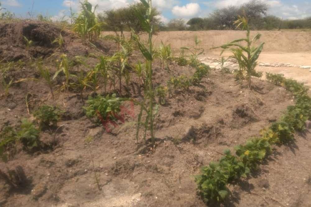 espectacular-terreno-campestre-en-venta-banda-de-oaxaca-en-san-miguel-de-allend15-13143