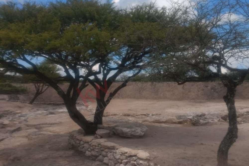 espectacular-terreno-campestre-en-venta-banda-de-oaxaca-en-san-miguel-de-allend18-13143