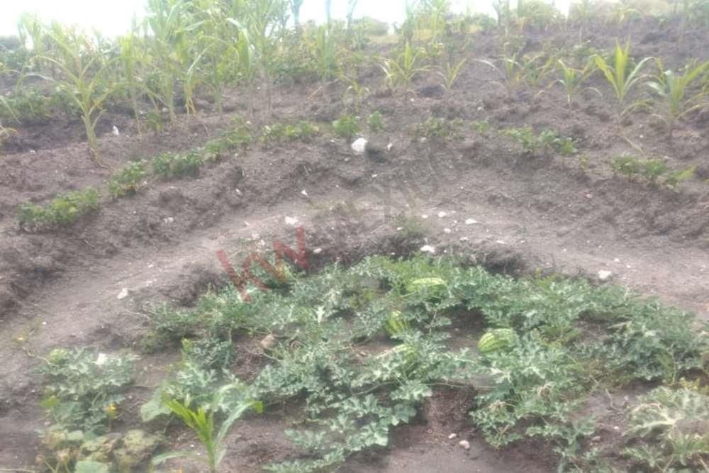 espectacular-terreno-campestre-en-venta-banda-de-oaxaca-en-san-miguel-de-allend22-13143