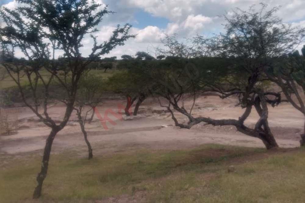 espectacular-terreno-campestre-en-venta-banda-de-oaxaca-en-san-miguel-de-allend4-13143