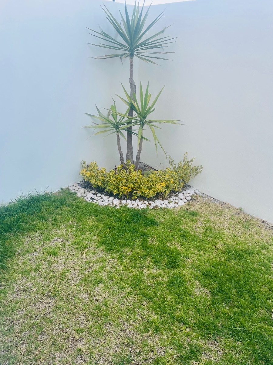 estrena-casa-en-renta-4-recmaras-con-roof-garden22-23761