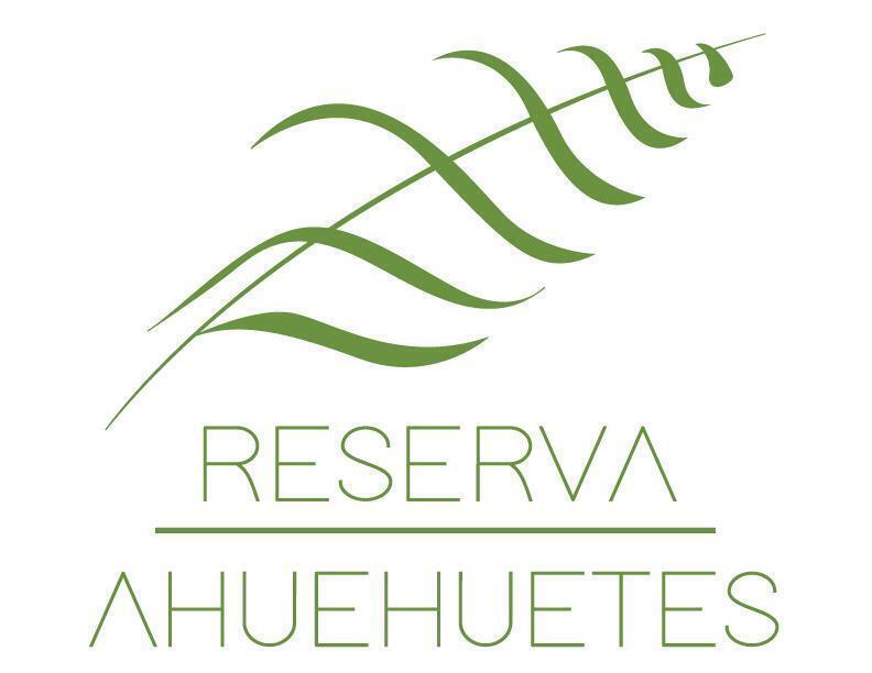 estrena-departamento-en-el-desarrollo-ms-icnico-de-ahuehuetes-norte16-14720